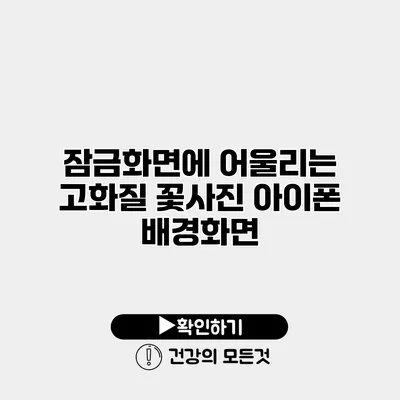 잠금화면에 어울리는 고화질 꽃사진 아이폰 배경화면