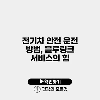 전기차 안전 운전 방법, 블루링크 서비스의 힘