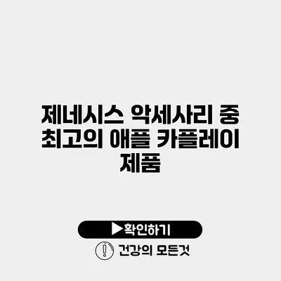 제네시스 악세사리 중 최고의 애플 카플레이 제품