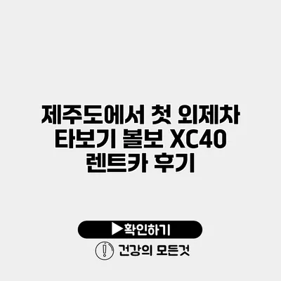 제주도에서 첫 외제차 타보기 볼보 XC40 렌트카 후기