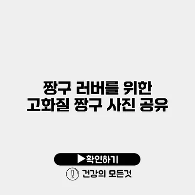 짱구 러버를 위한 고화질 짱구 사진 공유
