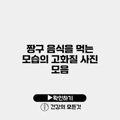 짱구 음식을 먹는 모습의 고화질 사진 모음