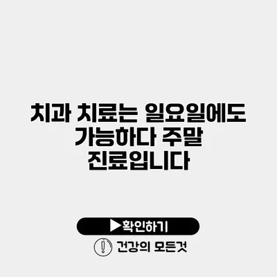 치과 치료는 일요일에도 가능하다 주말 진료입니다