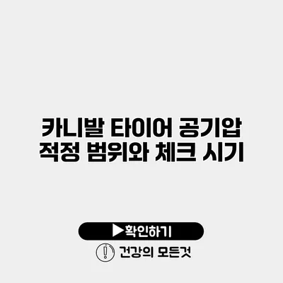 카니발 타이어 공기압 적정 범위와 체크 시기