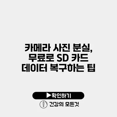 카메라 사진 분실, 무료로 SD 카드 데이터 복구하는 팁