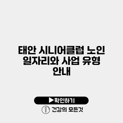 태안 시니어클럽 노인 일자리와 사업 유형 안내
