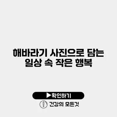 해바라기 사진으로 담는 일상 속 작은 행복