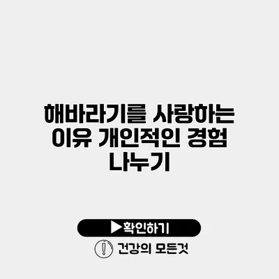 해바라기를 사랑하는 이유 개인적인 경험 나누기