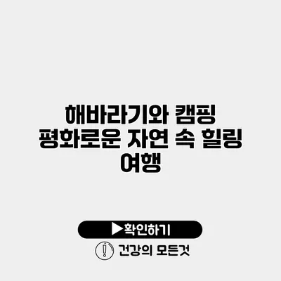 해바라기와 캠핑 평화로운 자연 속 힐링 여행